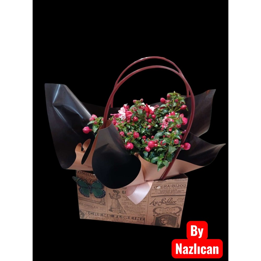 Çantada Küpe Çiçeği