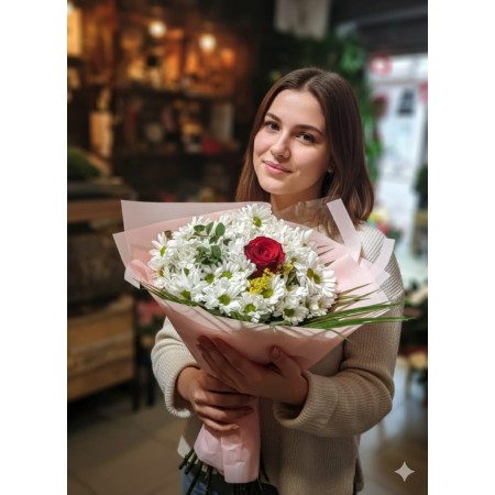 Papatya Gül Aşkı