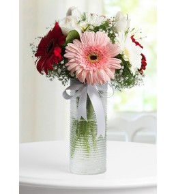 Vazoda Gerbera Ahengi