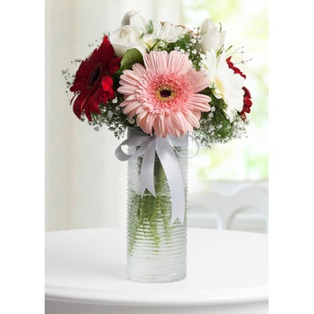 Vazoda Gerbera Ahengi